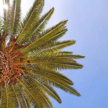 Apartmanhotel Borda D'agua